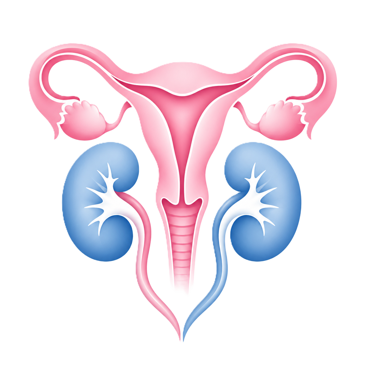 Eva Gyne Nephro Centre Bangalore