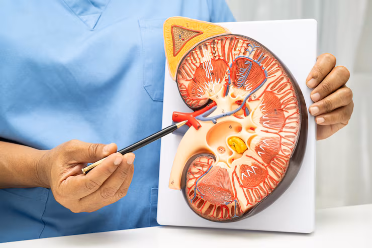 Chronic Kidney Disease